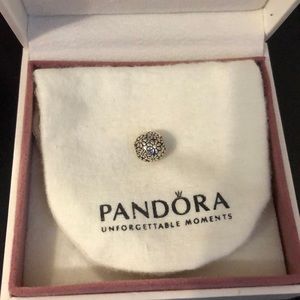 Pandora flower clip charm (1 of 2)